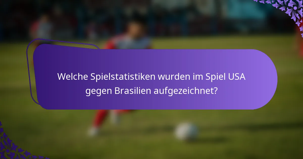 Welche Spielstatistiken wurden im Spiel USA gegen Brasilien aufgezeichnet?