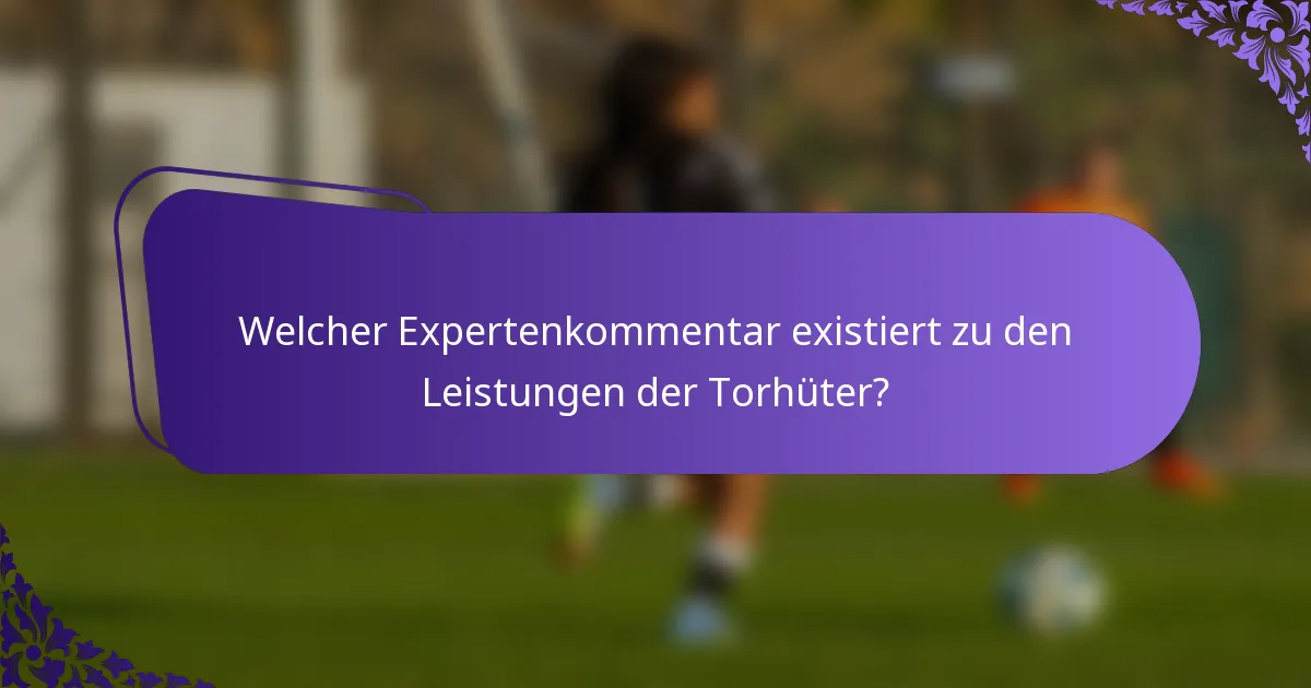 Welcher Expertenkommentar existiert zu den Leistungen der Torhüter?